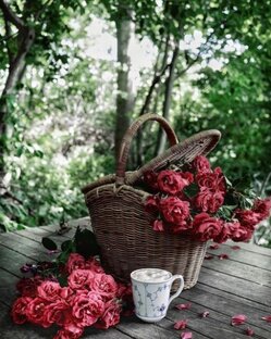 Истории из жизни 1