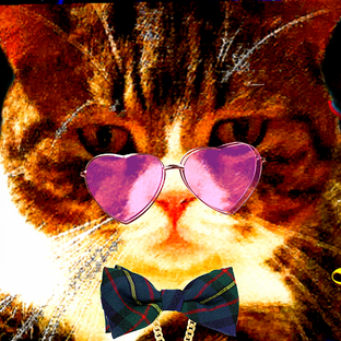 ♚🌟🌹🅗𝐄𝕷𝐋𝕺 ⊰🎩⊱🅓𝐎𝕷𝐋𝖄!🃏🌟♚