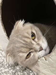 Дуня😻