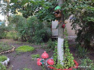  Ни дня без фото