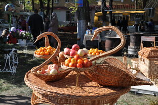 Губкин, Белгородская область