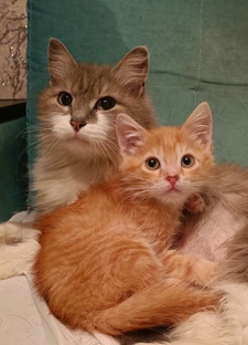 Не много видео с нашей дружной передержки ❤