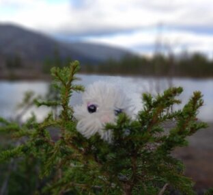 Кировск/Хибины