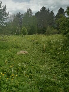 Строим мечту! 