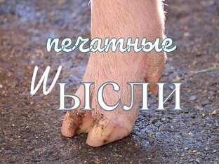 Статья о письменности