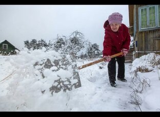 Неадекватные соседи 