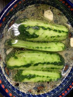 Закуски и салаты