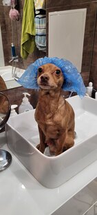 Тимкины фотки 