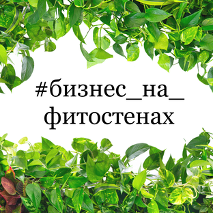 Бизнес на фитодизайне