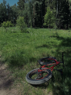 фэтбайк сториз