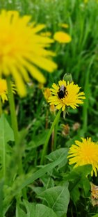 Факты и гипотизы