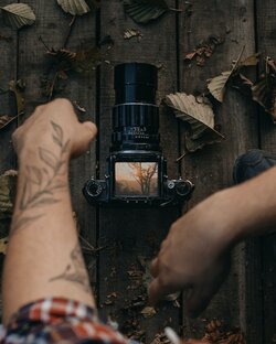 Фотография