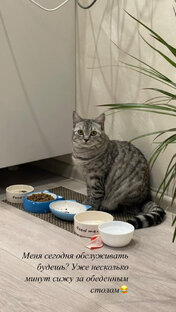 Поели-поспали