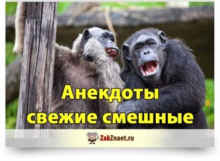 Анекдот, однако Здравствуйте!