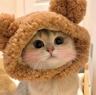 Факты дня