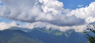 Nature 