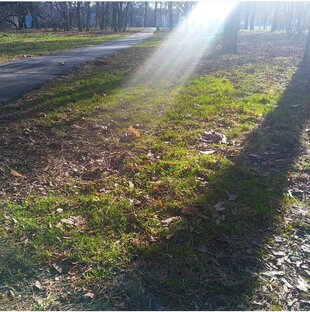 На злобу дня