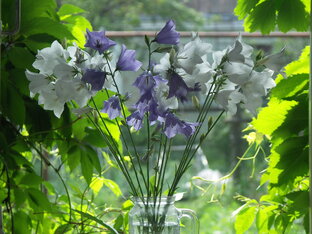 Записки о дяде и племяннике