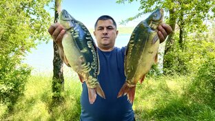 Рецепты из рыбы