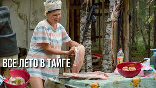 Таежная кухня - сезон 2022
