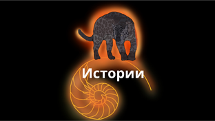 из практики