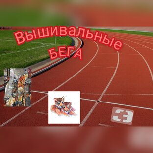 Вышивальные бега