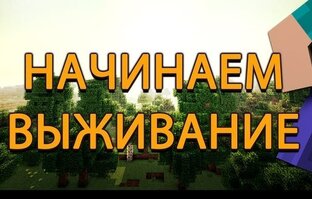 100 дней