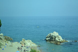 Путешествия