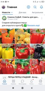 Садово огородный дневник 2023