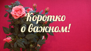 Гадания на один вопрос.