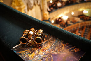 Визит в театр