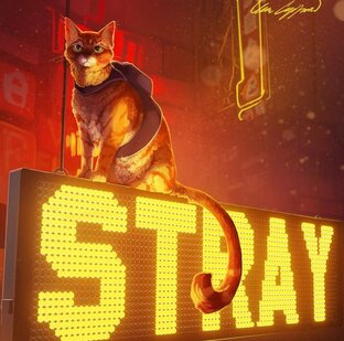 Stray