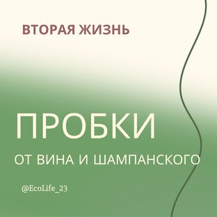 Вторая жизнь пробок