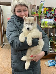 Истории из жизни зоомагазина