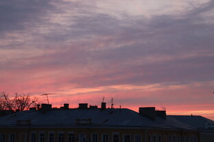 Природа в городе