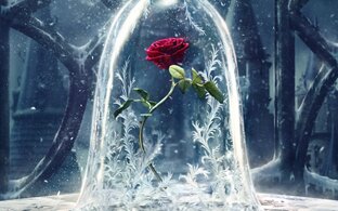 Романы Александры Лисиной