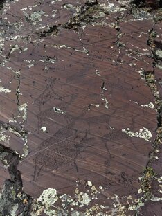 Мировая история