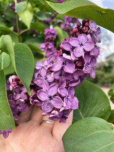 Просто о жизни