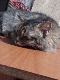 Книжные планы