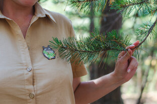 Рассказы для взрослых