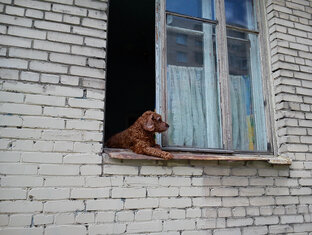 Интересные кадры