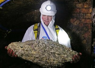 Интересное и необычное (возможна жесть)