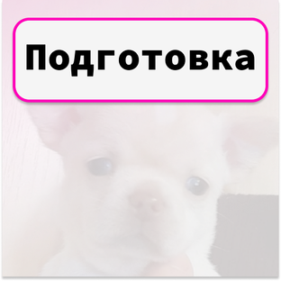 Подготовка