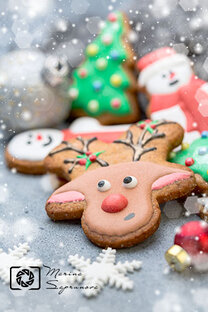 Новый год и Рождество