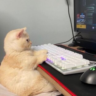 Собственно игры.