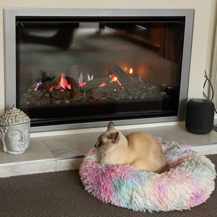 Холодная осень уже близко! А это значит, пора задуматься о создании уюта в доме 