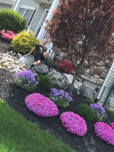 Идеи для дачи и сада