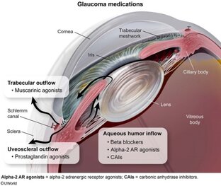 Офтальмология