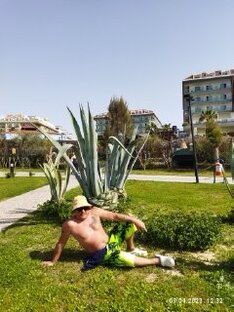 на море !