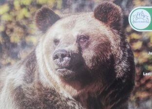 Рильские горы